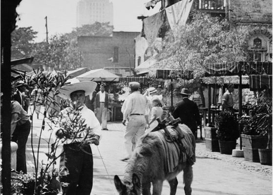 Hino Josa leading a donkey. View toward City Hall- looking at Sepulveda donkey on Olvera Street- 1930's 1940's.  19.1- 8"H X 7"W. Black and white photograph.
Negative available